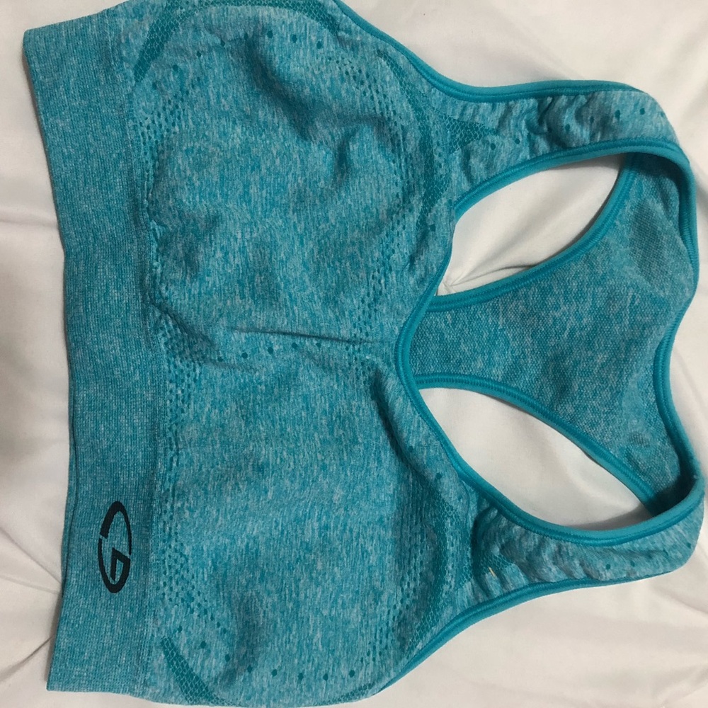 Blue champion sports bra